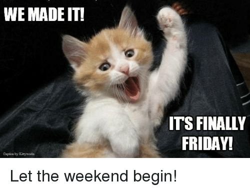 b8bfa80eedc0732cd9afda4156c51d9e hilarious friday memes