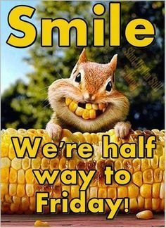 bb35a681dc002e5a5536ff759550b42a Good Morning Wednesday Memes