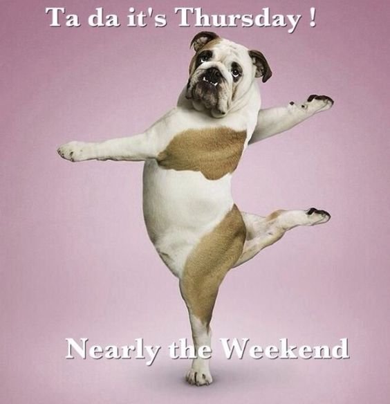 bbed299cc0daea4672c53fa3b78febf2 thirsty thursday memes