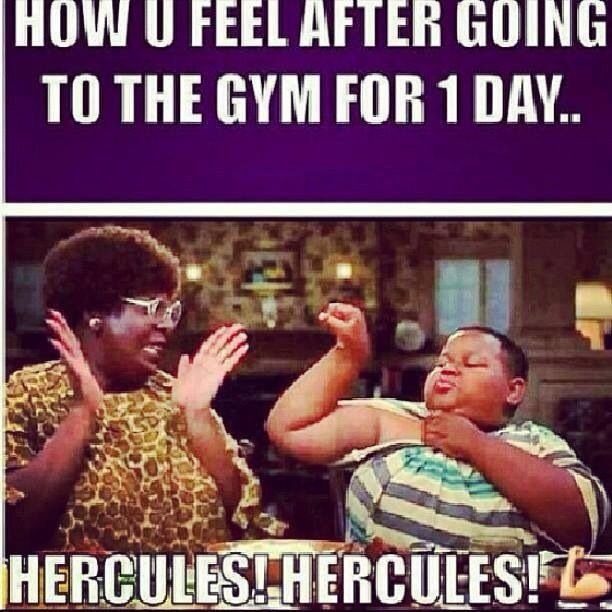 bf527a334ee26521989a2863f14ca17d Gym Memes