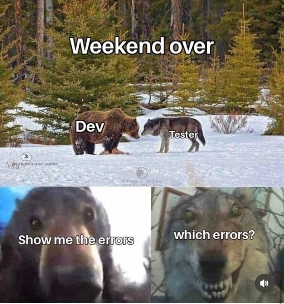 happy saturday memes