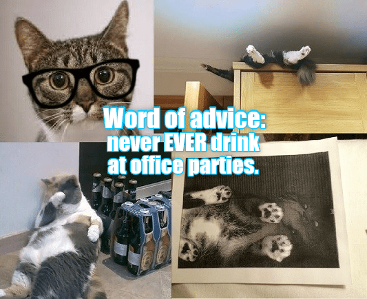 business-cats-word-of-advice