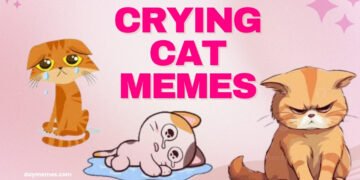 crying cat memes crying cat memes