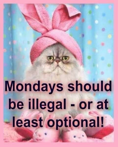 d5ff36df7af44038ff83056740de8396 funny monday memes