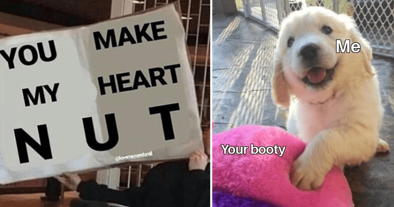 dating-memes-relationships-horny-memes-humor-animals-wholesome-memes-relationship-memes-cute-dog Flirty Memes