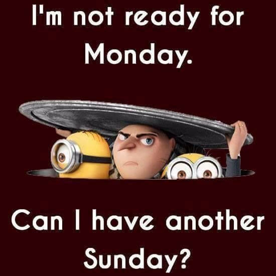 de43e3257cc7e94c67e3b453c3266dfa funny monday memes
