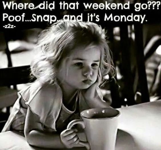 de8f447beb94786160e93a759343ffb5 Funny Monday Memes