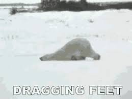 download funny monday memes