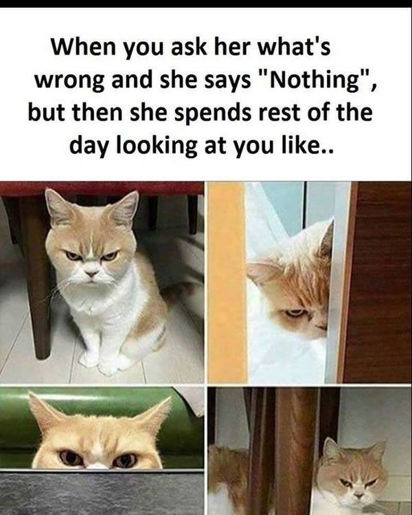 funny relationship memes