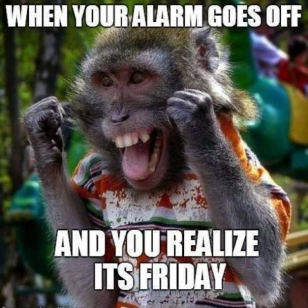 fun-friday-meme