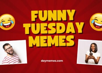 funny Tuesday Memes