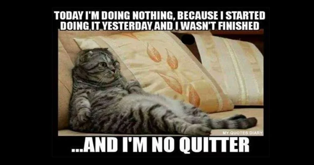 funny-weekend-quotes