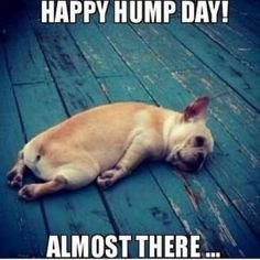 Wednesday Morning Memes