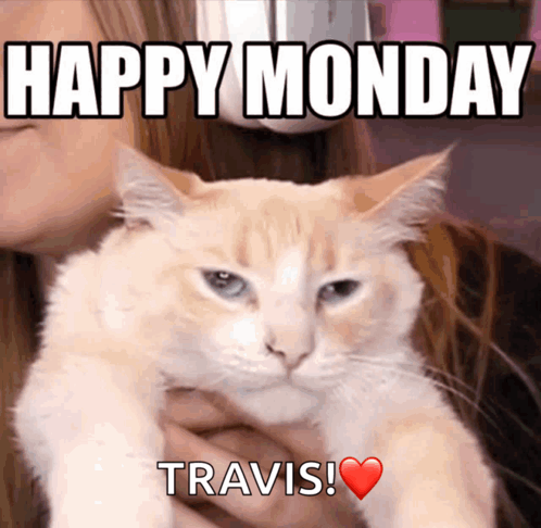 happy-monday-grumpy-cat