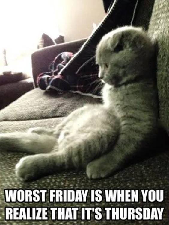 hilarious-thursday-pic