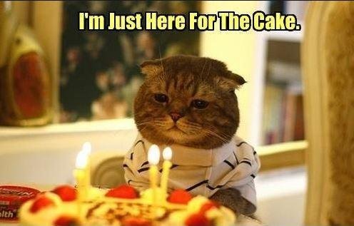 im-just-here-for-the-cake-quote-1