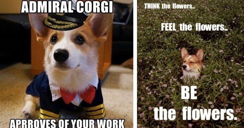 Thursday Morning Memes