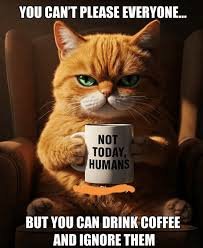 images 17 angry cat memes