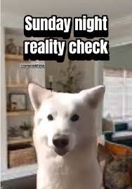 images - 2025-08-01T115704092 Funny Weekend Memes