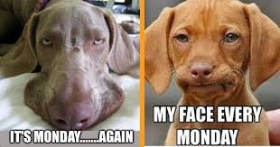 images - 2025-08-01T115957080 Funny Weekend Memes