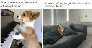Funny Sunday Memes