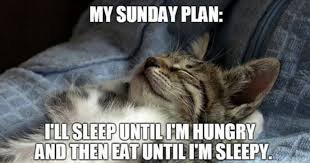 funny sunday memes
