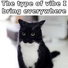 Office Memes