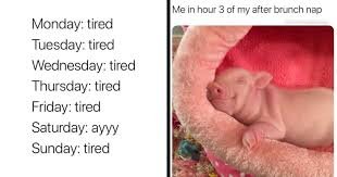 images - 2025-08-04T110903631 Monday Memes