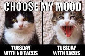 images - 2025-08-04T150105849 Taco Tuesday Memes