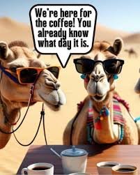 images - 2025-08-05T133315558 Hump Day Memes