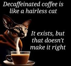 images - 2025-08-06T095244334 hilarious friday memes