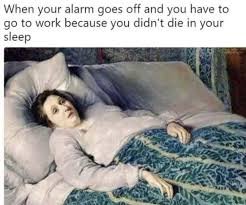 images - 2025-08-06T102715645 hilarious friday memes
