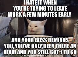 images 24 cat memes