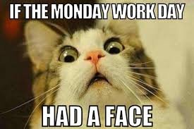 images 26 angry cat memes