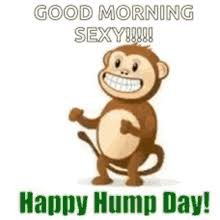 images 31
