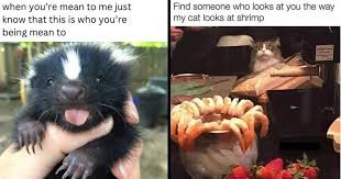 images 34 Good Morning Wednesday Memes