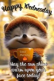 images 36