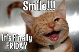 images 38 Good Morning Friday Memes