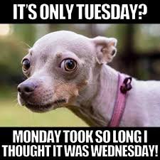 images 44 Tuesday Morning Memes