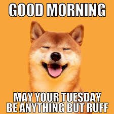 images 45 Tuesday Morning Memes