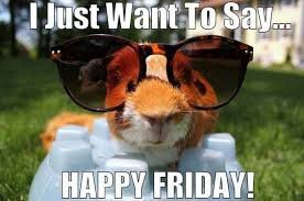 images 47 good morning friday memes