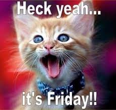 images 49 good morning friday memes