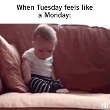 images 49 Tuesday Morning Memes
