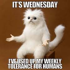 Wednesday Morning Memes