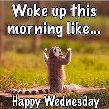 Wednesday Morning Memes