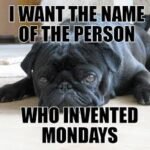 Best 50 Monday Work Memes to Share with Your Team
