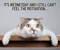 images 70 Good Morning Wednesday Memes