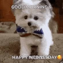 images 71 Good Morning Wednesday Memes