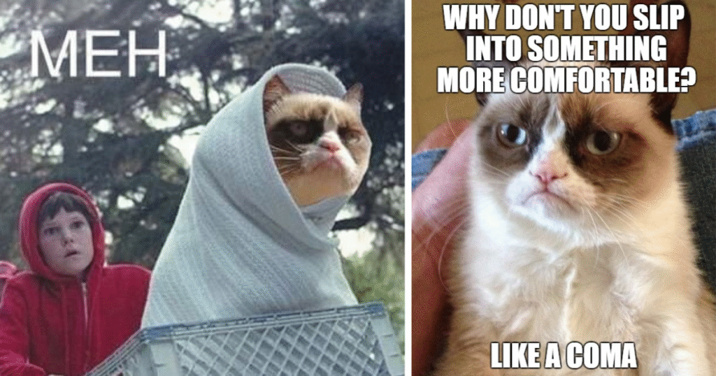 including-meh-and-one-meme-including-why-dont-you-slip-into-something-more-comfortable-like-a-coma