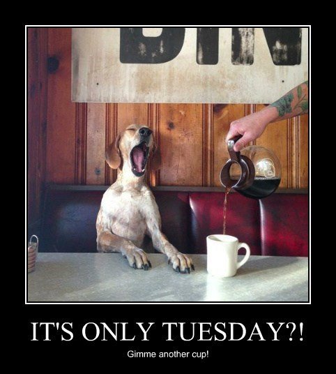 it-stays-like-this-till-friday Tuesday Morning Memes